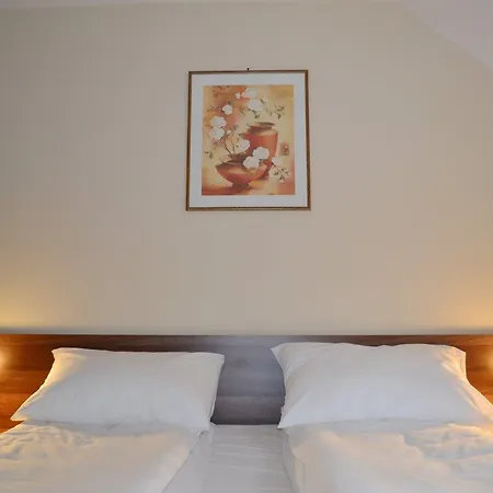 Casa Retezat Semesterbostad Rîu de Mori